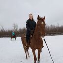 ���������� ������, ���� ������� ����, 41 ���, ������������ ��� ���������