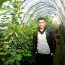 ���������� ��������, ���� ������� Ulugbek, 37 ���, ������������ ��� ������