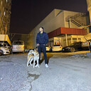 ���������� ����, ���� ������� Cemil, 31 ���, ������������ ��� ������, ����� � ���������