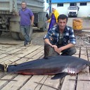  ,   Rusik, 56 ,   ,   , c 