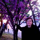  ,   , 51 ,     , c , 