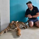 ���������� ����������, ���� ������� �����, 36 ���, ������������ ��� ������, ����� � ���������, c�������� ���������