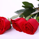 ���������� �������, ���� ������� ����, 35 ���, ������������ ��� ������, ����� � ���������, c�������� ���������