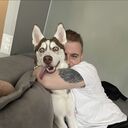  -,   , 29 ,   , 