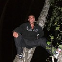 ���������� ��������, ���� ������� Roma, 36 ���, ������������ ��� ������, ����� � ���������, c�������� ���������