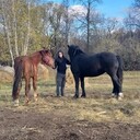  ,   Roman, 36 ,   ,   , c 