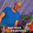  -,   , 41 ,     , c , 