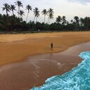 ���������� ���������, ���� ������� ������, 36 ���, ������������ ��� ����� � ���������, c�������� ���������