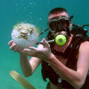 ���������� ������������, ���� ������� ��������, 53 ����, ������������ ��� ������, ����� � ���������