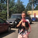 ���������� ��������, ���� ������� ��������, 28 ���, ������������ ��� ����� � ���������