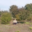  ,   , 70 ,   ,   
