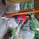  ,   Lili, 61 ,     , c 