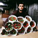 ���������� ������, ���� ������� ����, 30 ���, ������������ ��� ������, ����� � ���������