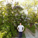 ���������� �����, ���� ������� ���� ������, 28 ���, ������������ ��� ������, ����� � ���������, c�������� ���������