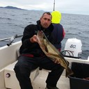 ���������� Edewecht, ���� ������� ������, 50 ���, ������������ ��� ������, ����� � ���������, c�������� ���������