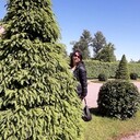 ���������� �����-���������, ���� ������� �������, 55 ���, ������������ ��� ������, ����� � ���������