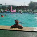  ,   Vikont, 39 ,   ,   , c , 