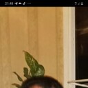 ���������� �������, ���� ������� ����, 55 ���, ������������ ��� ������, ����� � ���������, c�������� ���������