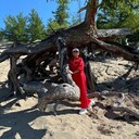  ,   , 41 ,   ,   
