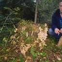 ���������� �������, ���� ������� ������, 47 ���, ������������ ��� ����� � ���������, c�������� ���������