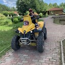 ���������� ���������, ���� ������� ����, 43 ����, ������������ ��� ������, ����� � ���������