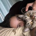  ,   , 28 ,   ,   , 