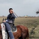  --,   , 41 ,   c 