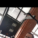 ���������� �������, ���� ������� ����, 36 ���, ������������ ��� ������, ����� � ���������, c�������� ���������