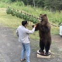 ���������� ����, ���� ������� ������, 28 ���, ������������ ��� ������, ����� � ���������, ���������