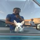 ���������� �����, ���� ������� ����, 38 ���, ������������ ��� ������, ����� � ���������, c�������� ���������