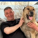  ,   , 55 ,   ,   