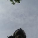 ���������� ������, ���� ������� ������, 32 ����, ������������ ��� ������