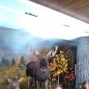 ���������� ������������, ���� ������� ������, 43 ����, ������������ ��� ����� � ���������, c�������� ���������