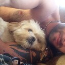 ���������� ��������������, ���� ������� ����, 38 ���, ������������ ��� ������, ����� � ���������, c�������� ���������