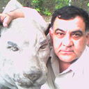  ,   , 62 ,  