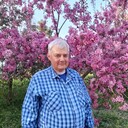  ,   Igor, 65 ,   ,   , c , 