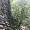 ���������� �������, ���� ������� �����, 47 ���, ������������ ��� ����� � ���������, c�������� ���������