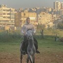  Beirut,   Hadi, 22 ,   ,   , c 