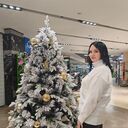 ���������� ��������, ���� ������� ���������, 33 ����, ������������ ��� ������, ����� � ���������, ���������