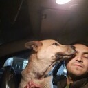 ���������� ������, ���� ������� ����, 33 ����, ������������ ��� ������, ����� � ���������, c�������� ���������, ���������