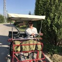 ���������� ������, ���� ������� ������, 37 ���, ������������ ��� ������, c�������� ���������