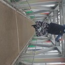 ���������� ���������, ���� ������� ������, 26 ���, ������������ ��� ������, ����� � ���������, c�������� ���������