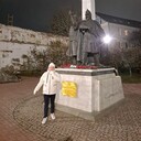 ���������� ���������, ���� ������� ������, 44 ����, ������������ ��� c�������� ���������