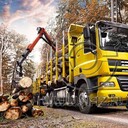 ���������� �������, ���� ������� �������, 30 ���, ������������ ��� ����� � ���������, c�������� ���������