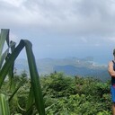 ���������� ������, ���� ������� �����, 38 ���, ������������ ��� ������, ����� � ���������, c�������� ���������