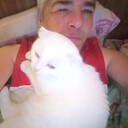 ���������� ��������, ���� ������� �������, 58 ���, ������������ ��� ����� � ���������, c�������� ���������