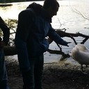 ���������� ���������, ���� ������� ������, 40 ���, ������������ ��� ������, ����� � ���������, c�������� ���������