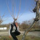  ,   Dimka, 30 ,   