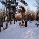 ���������� �����������, ���� ������� ������, 43 ����, ������������ ��� ������, ����� � ���������