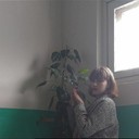  ,   , 24 ,   ,   , c 